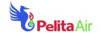 Pelita Air Service